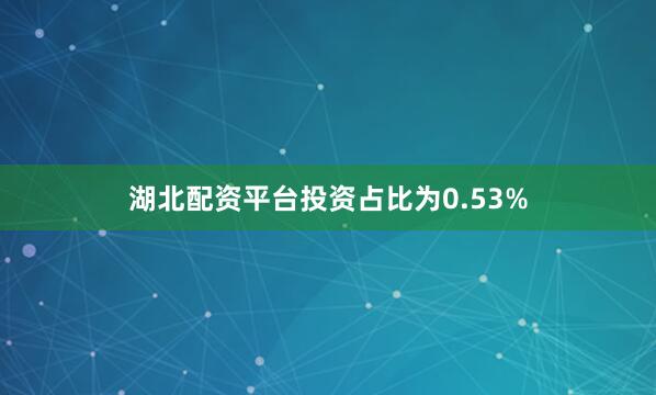 湖北配资平台投资占比为0.53%